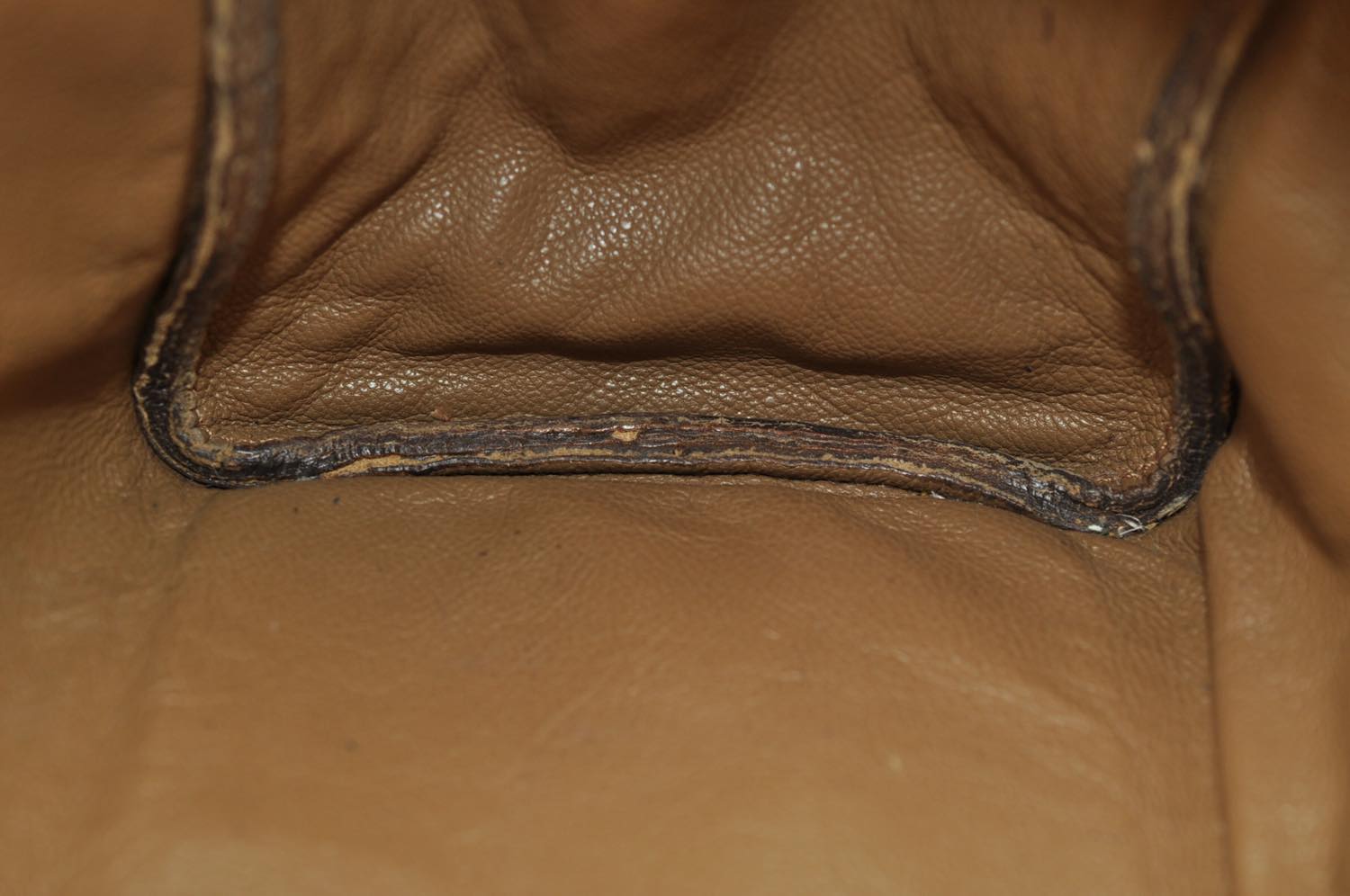 th_DSC_0381