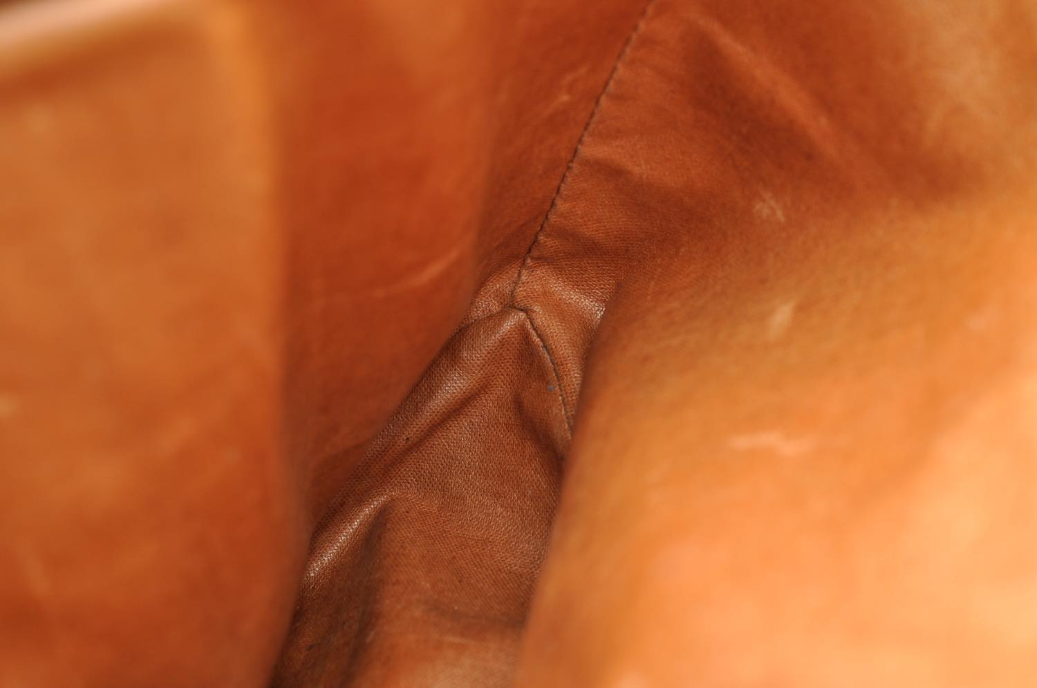 th_DSC_0390