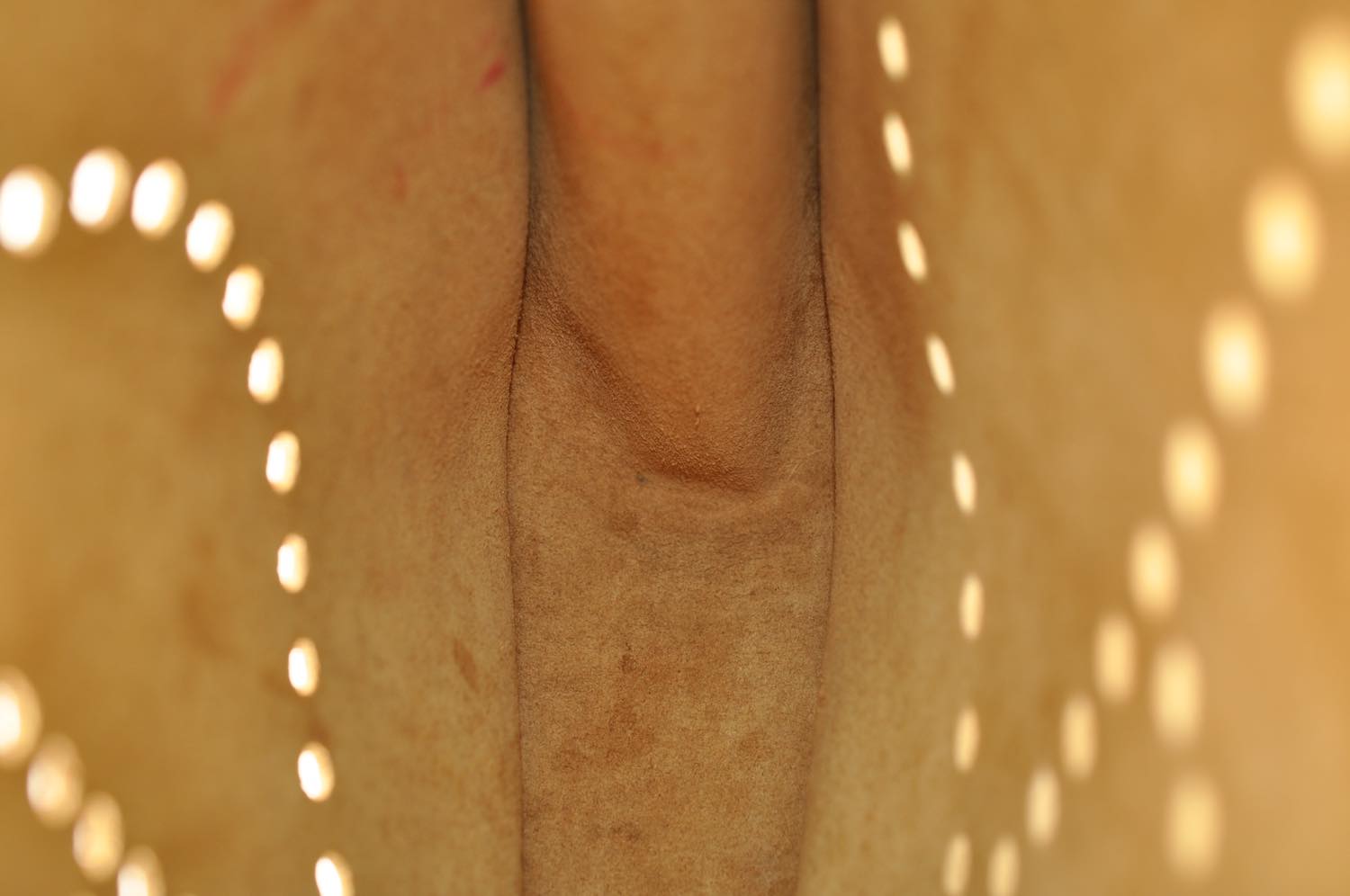 th_DSC_0411