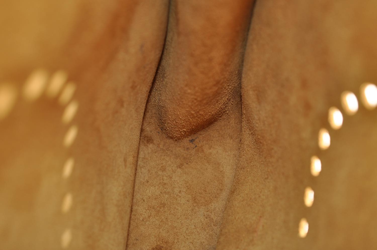 th_DSC_0412