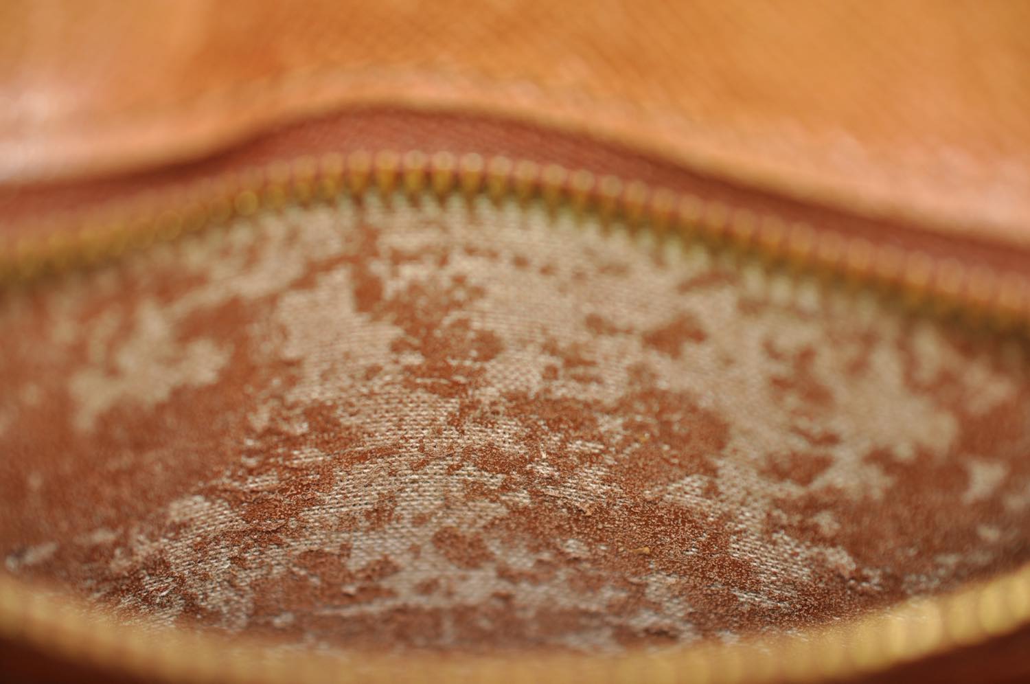 th_DSC_0421