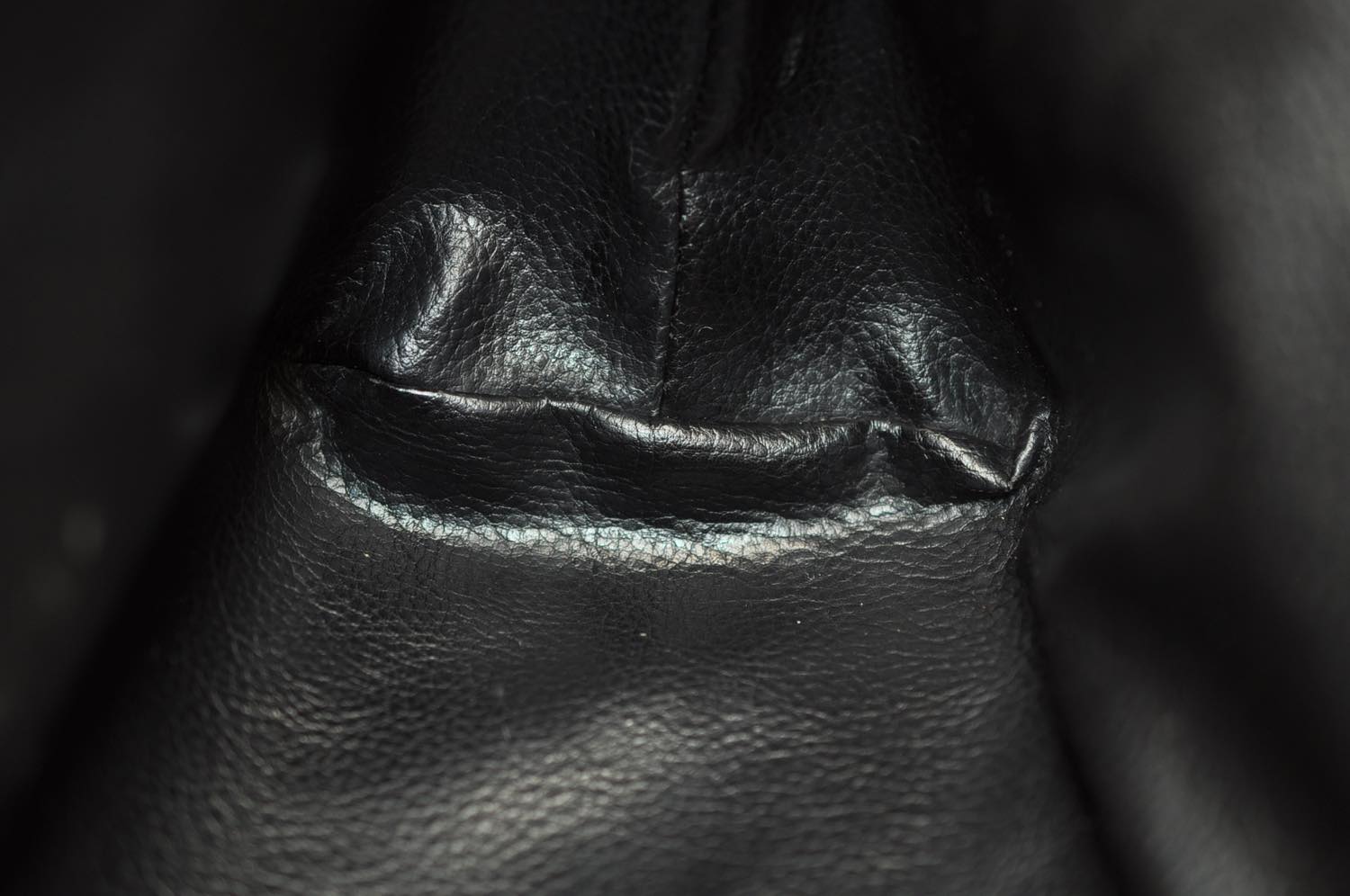 th_DSC_0439