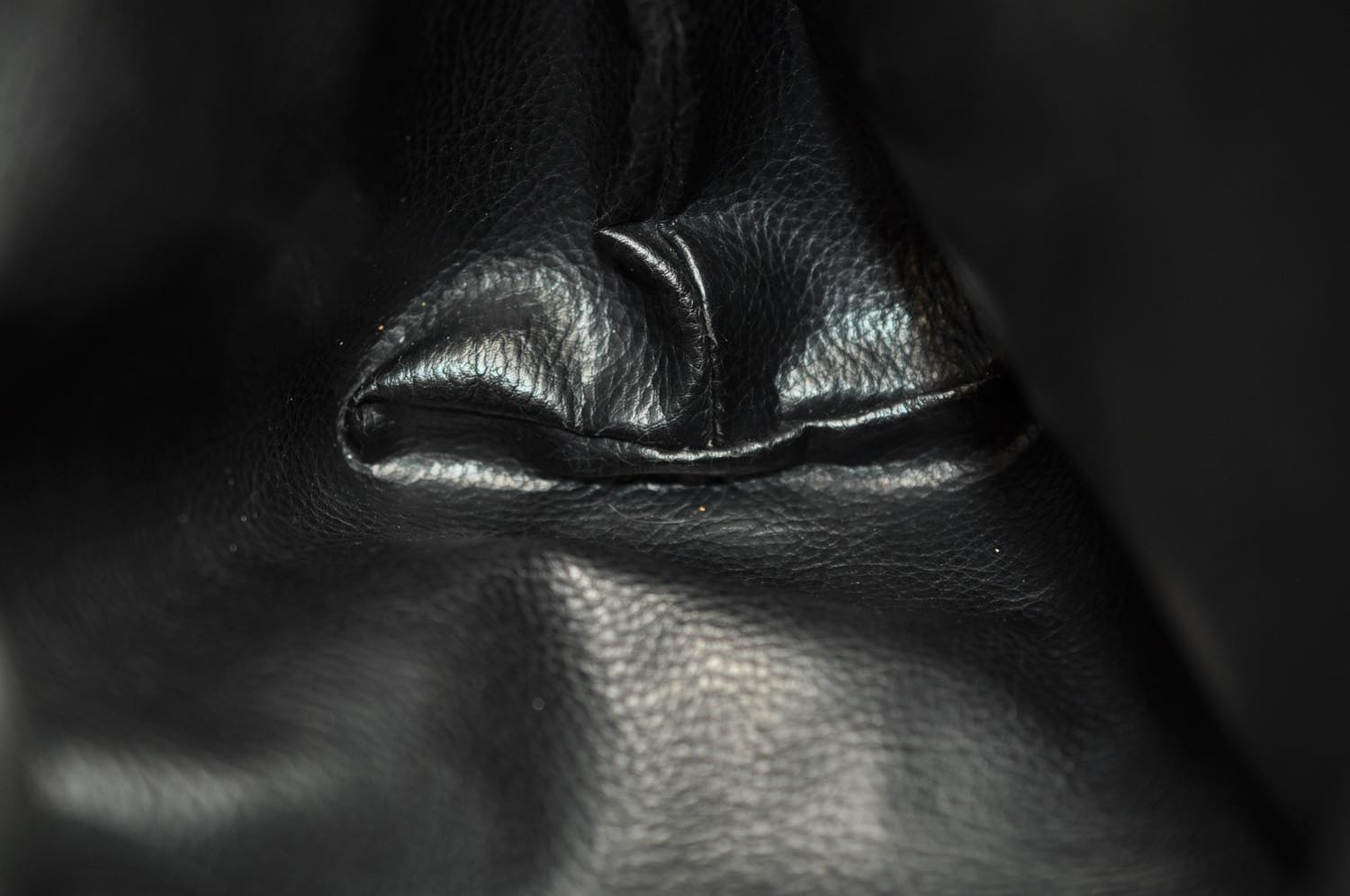 th_DSC_0440