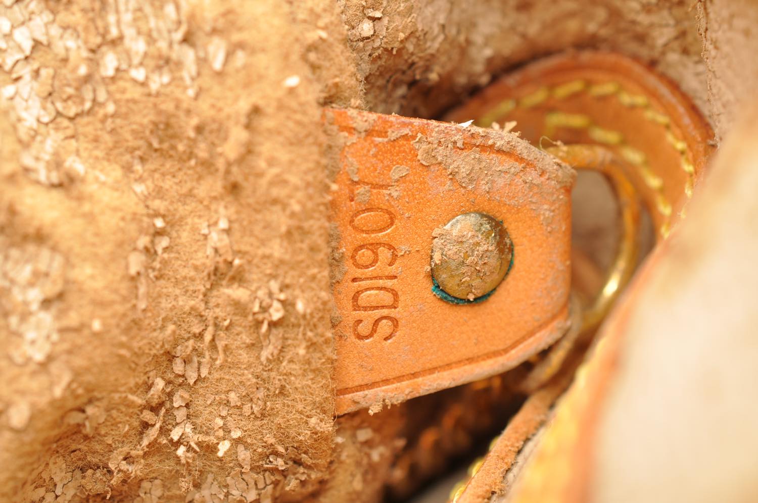 th_DSC_0077