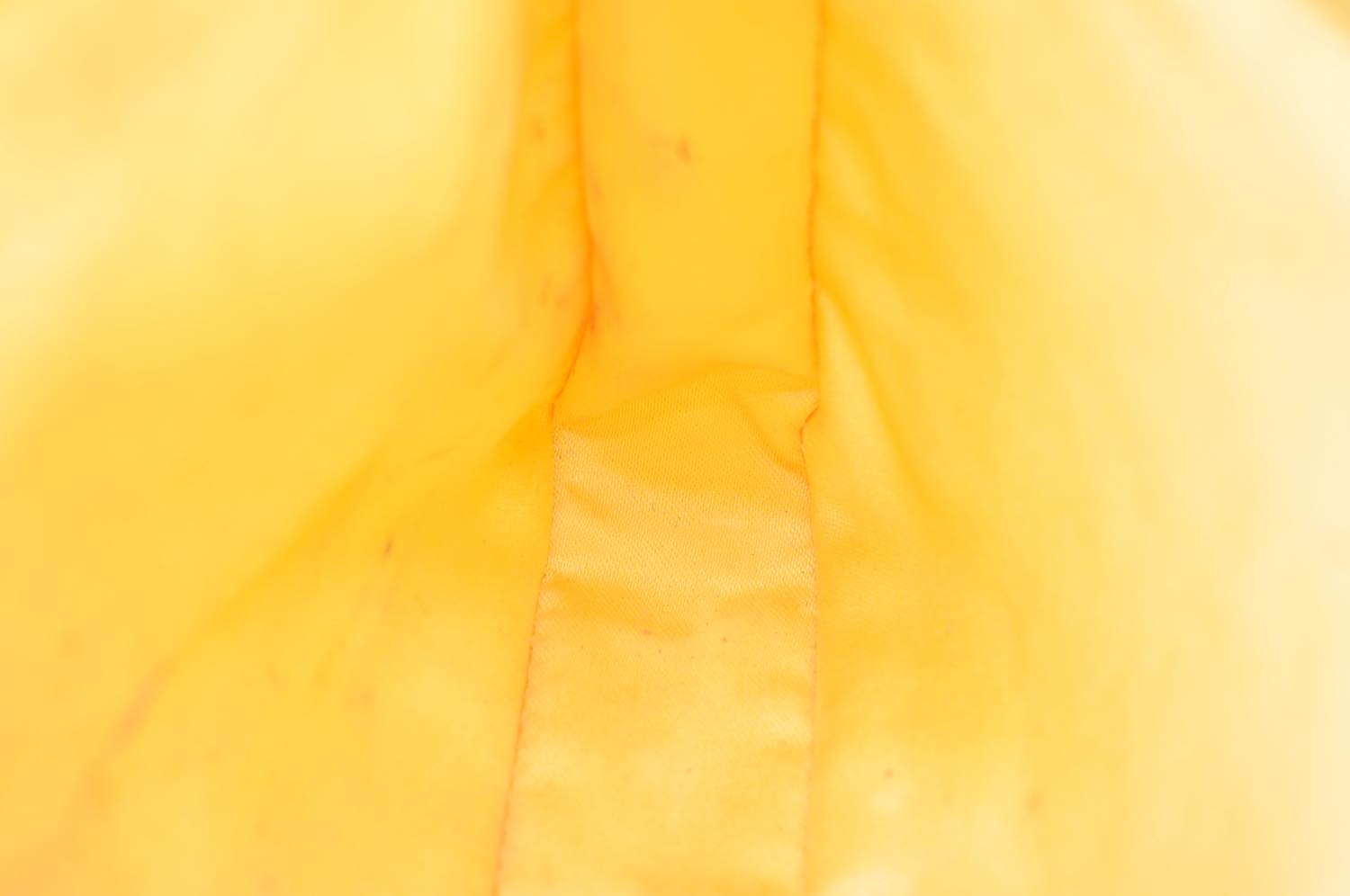 th_DSC_0086