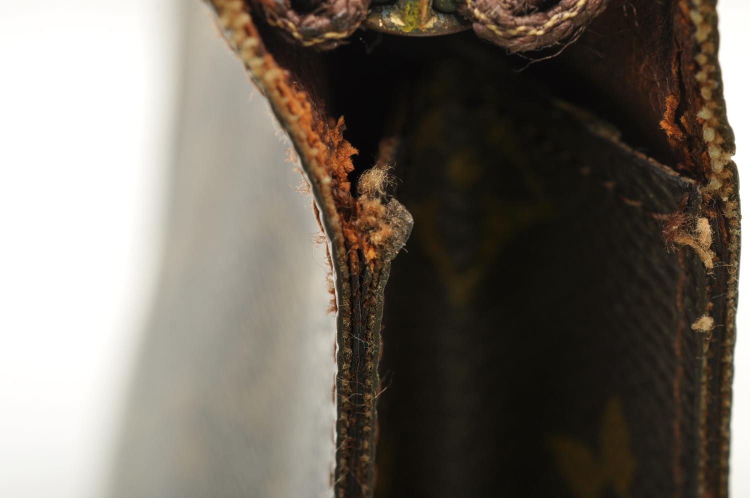 th_DSC_0142