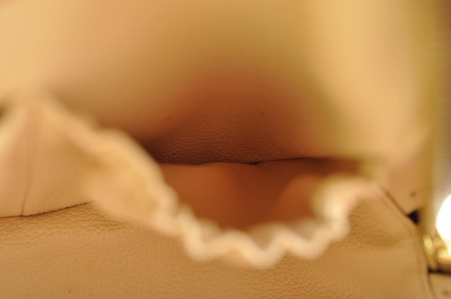 th_DSC_0148