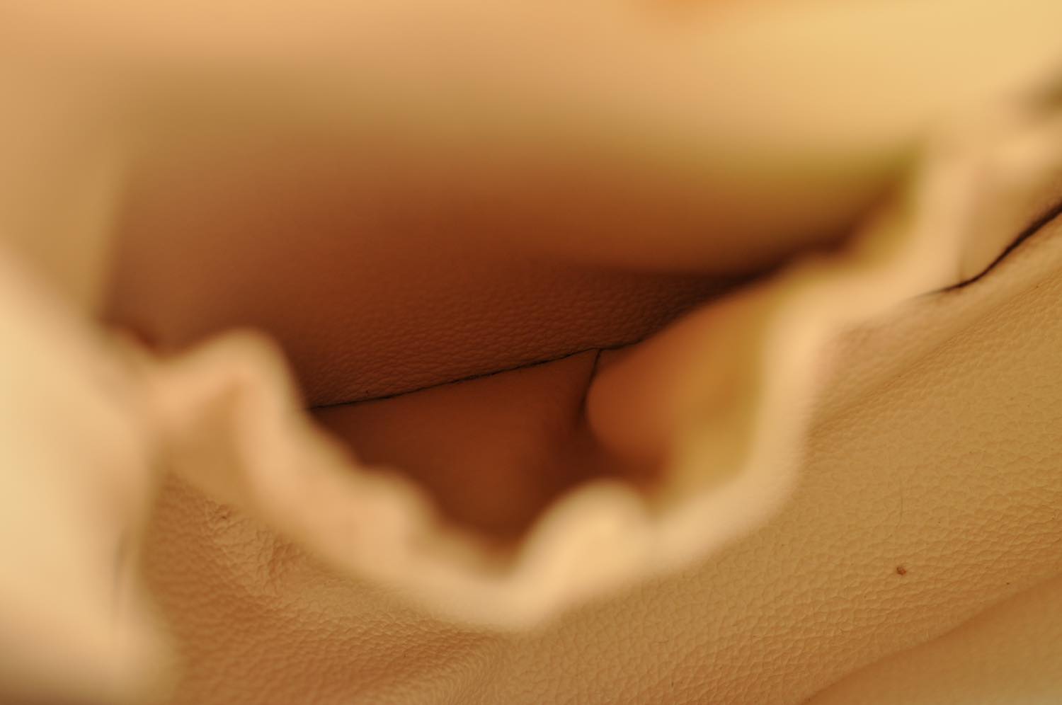th_DSC_0149