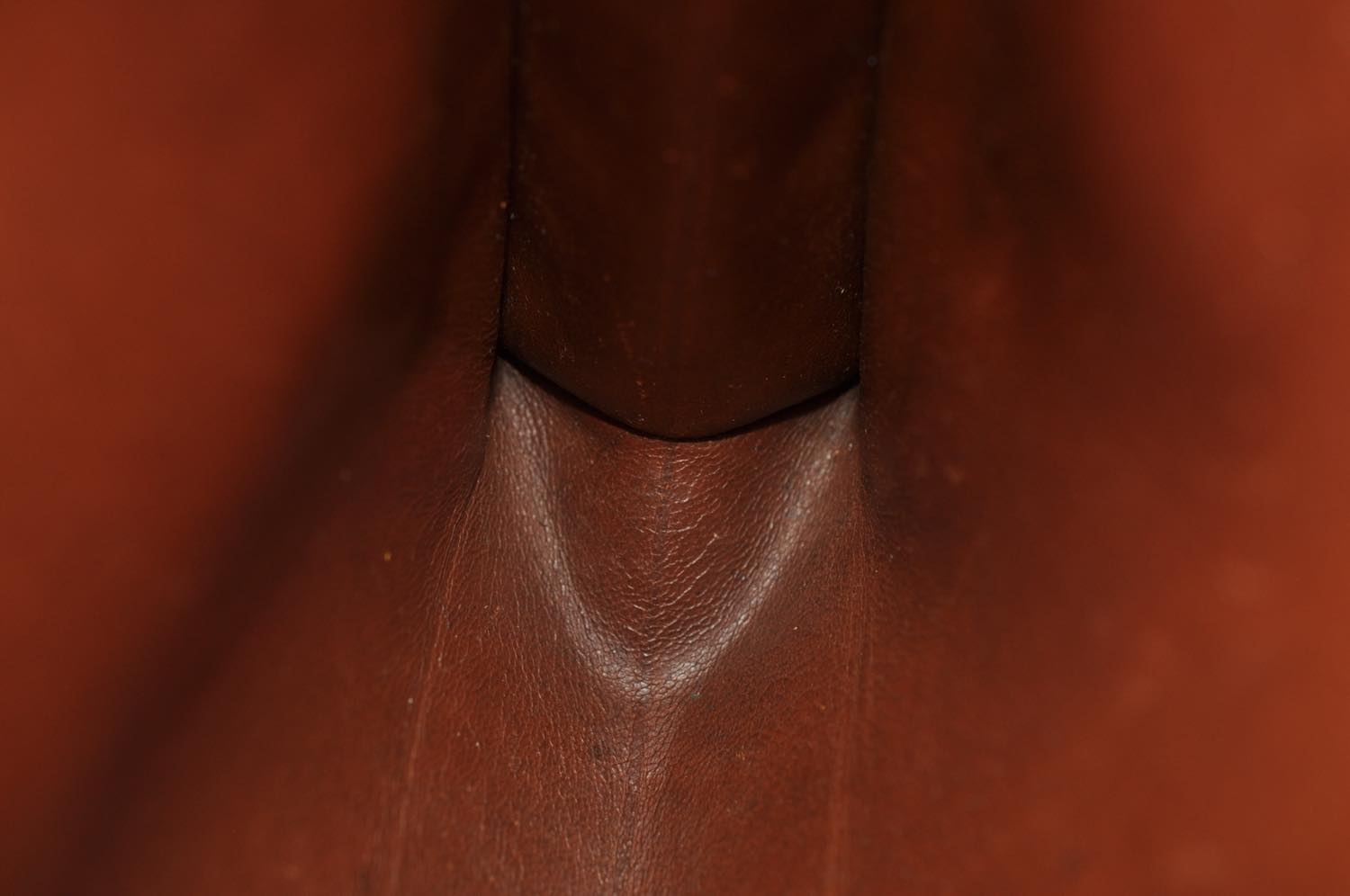 th_DSC_0151