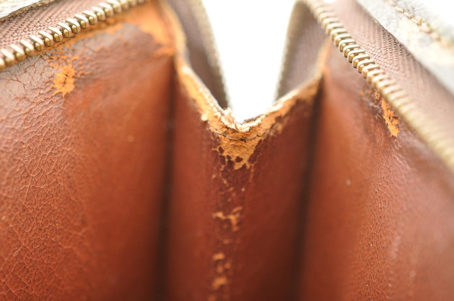 th_DSC_0153