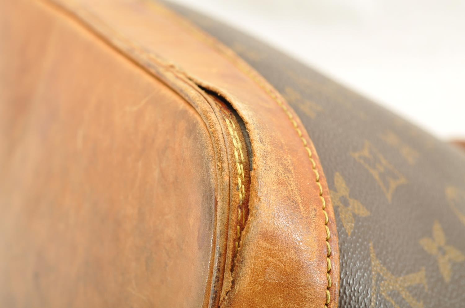th_DSC_0184