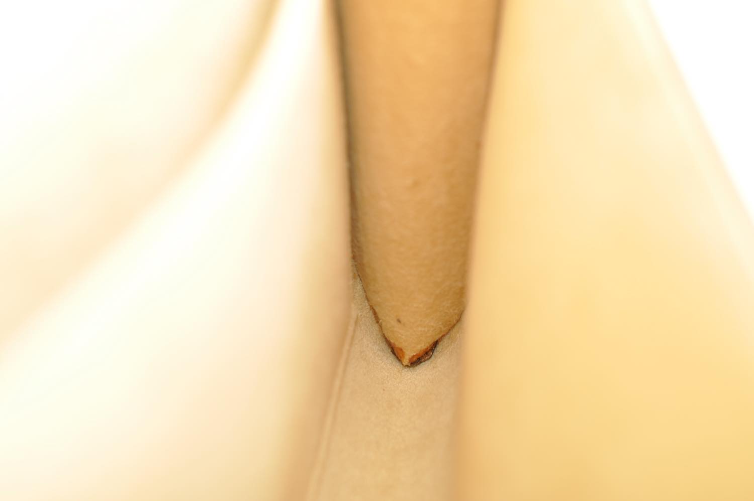 th_DSC_0228