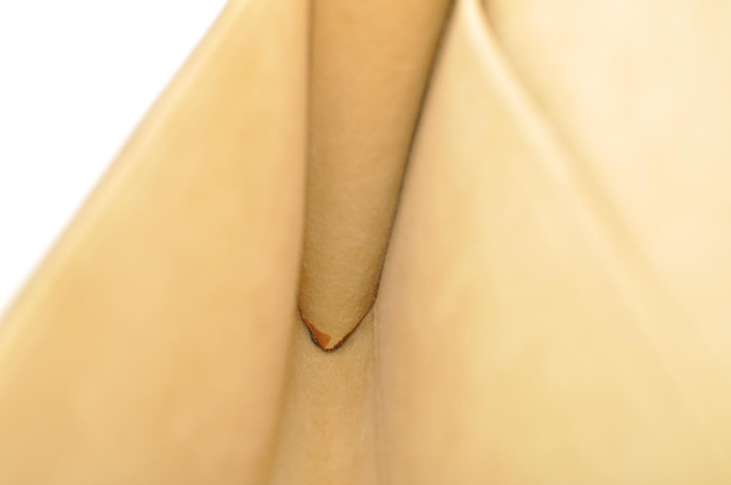 th_DSC_0229
