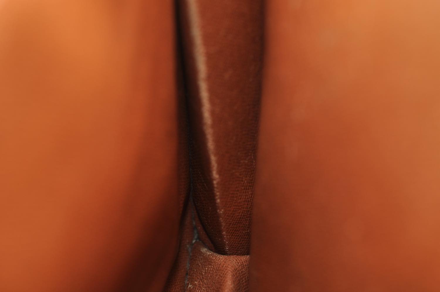 th_DSC_0264