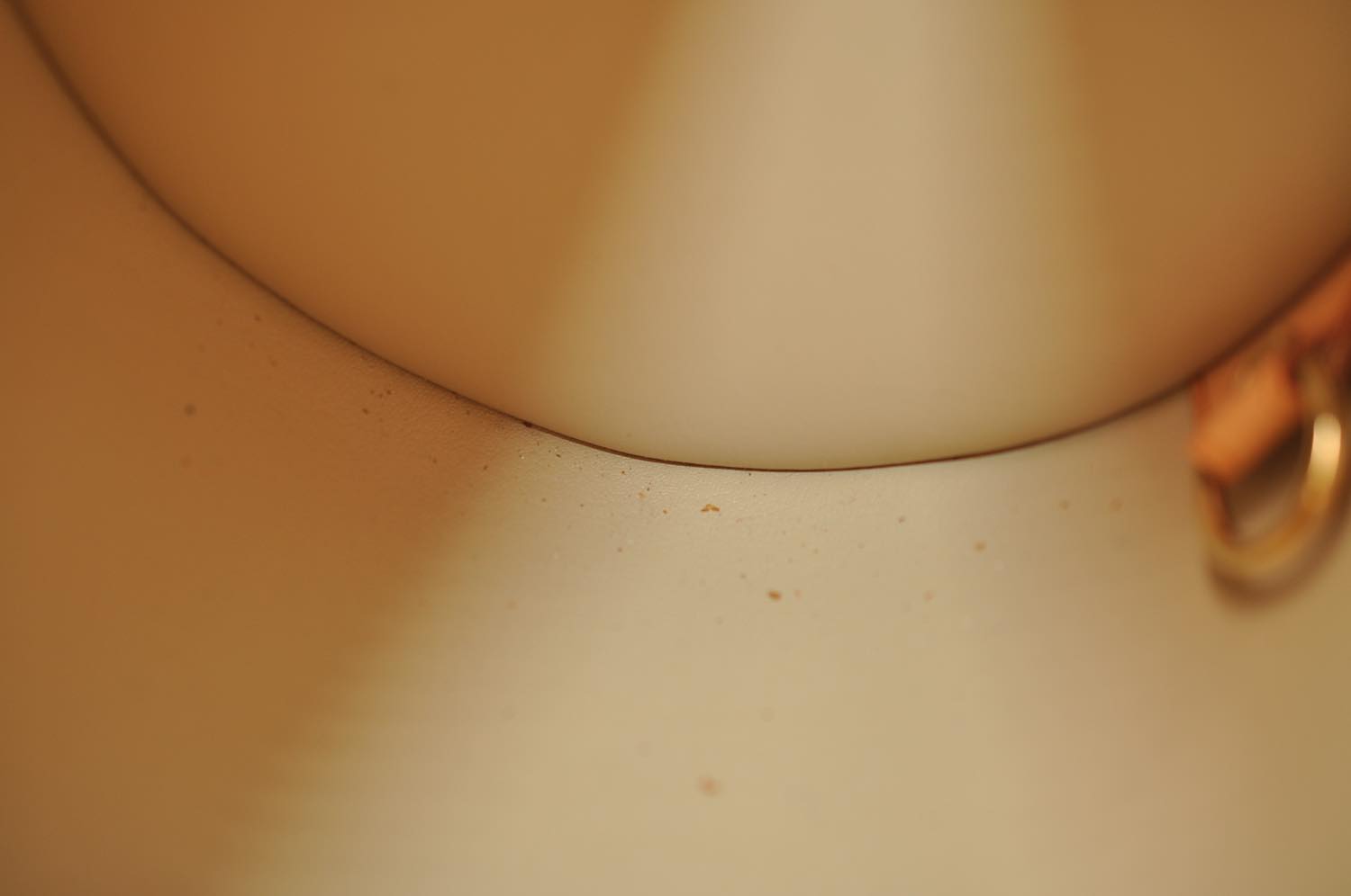 th_DSC_0266
