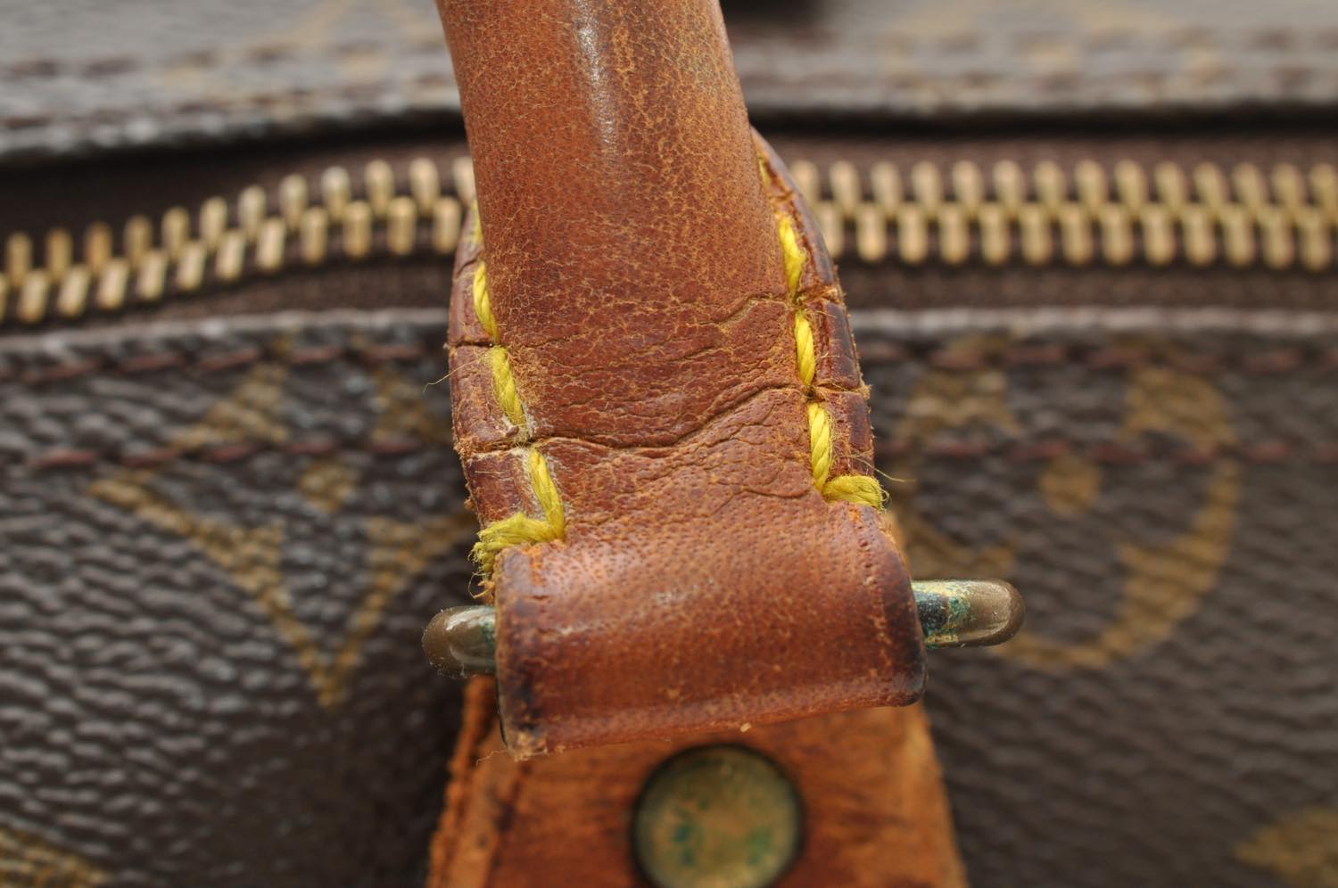 th_DSC_0298