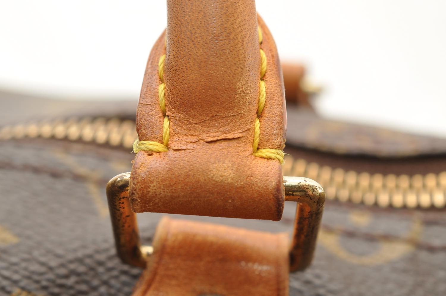 th_DSC_0338