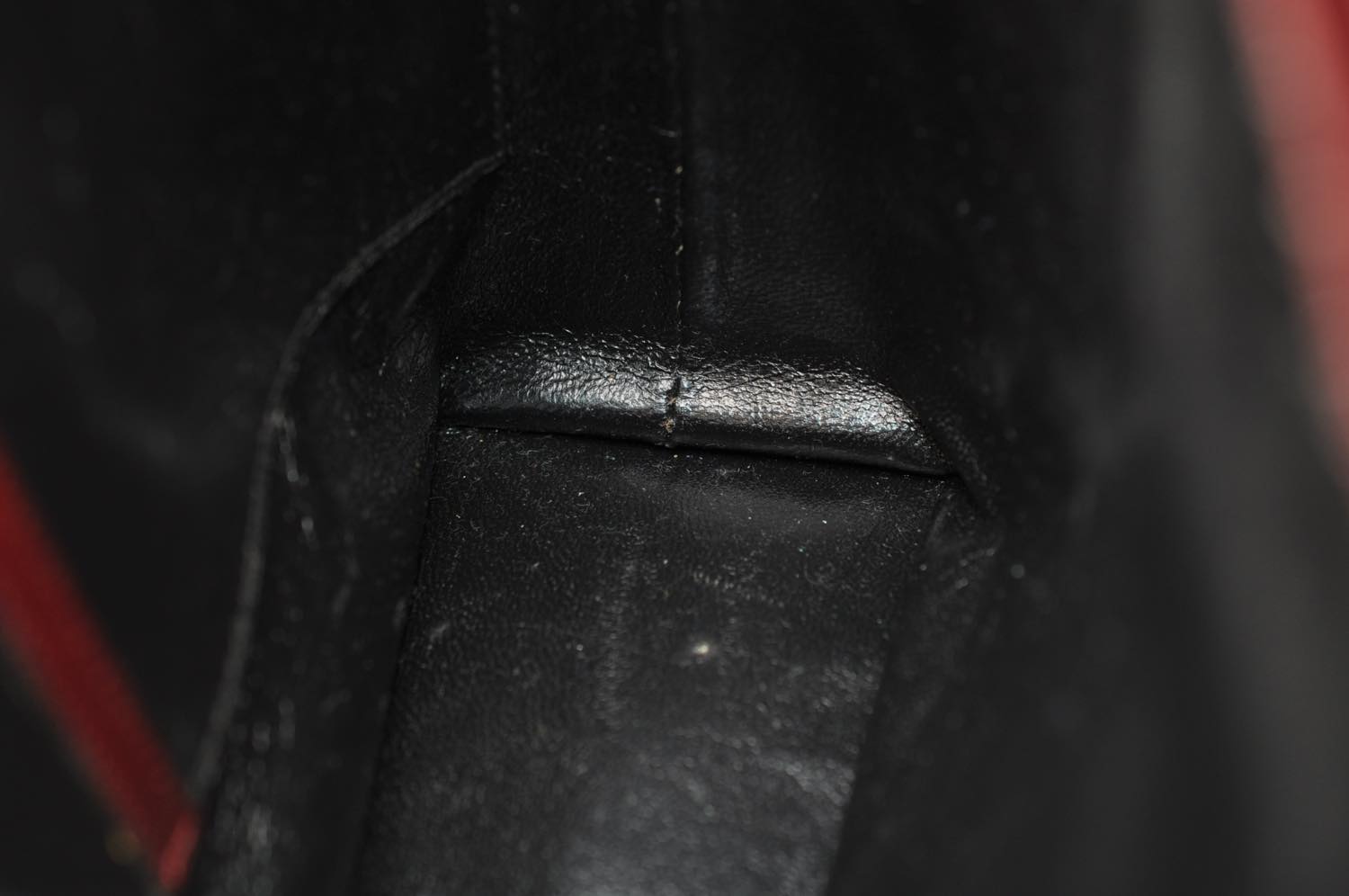 th_DSC_0347