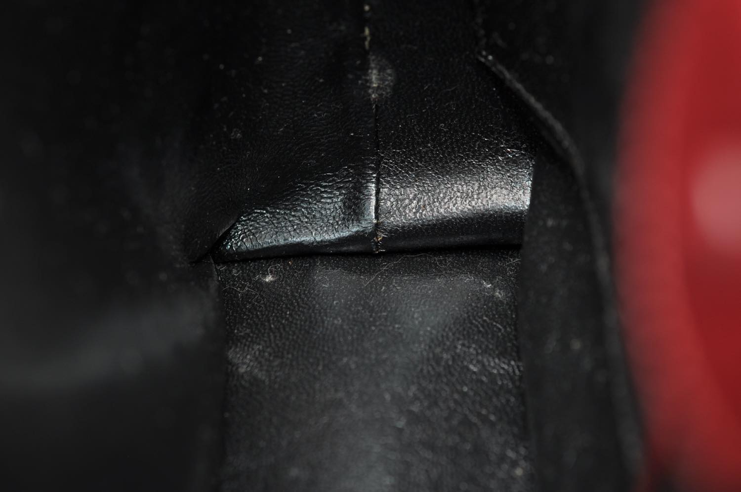 th_DSC_0348