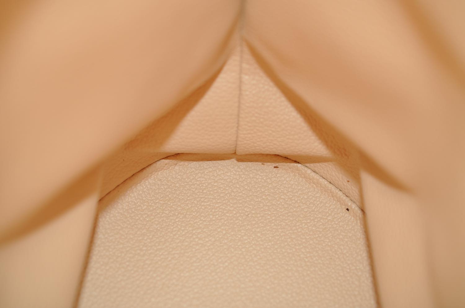 th_DSC_0355