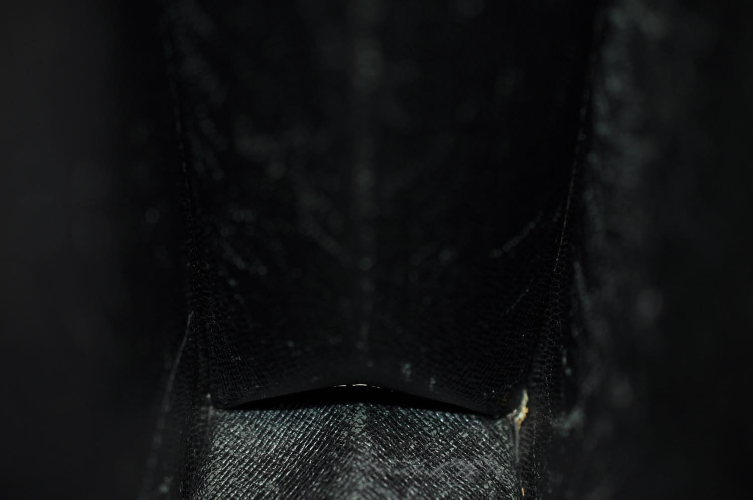 th_DSC_0375