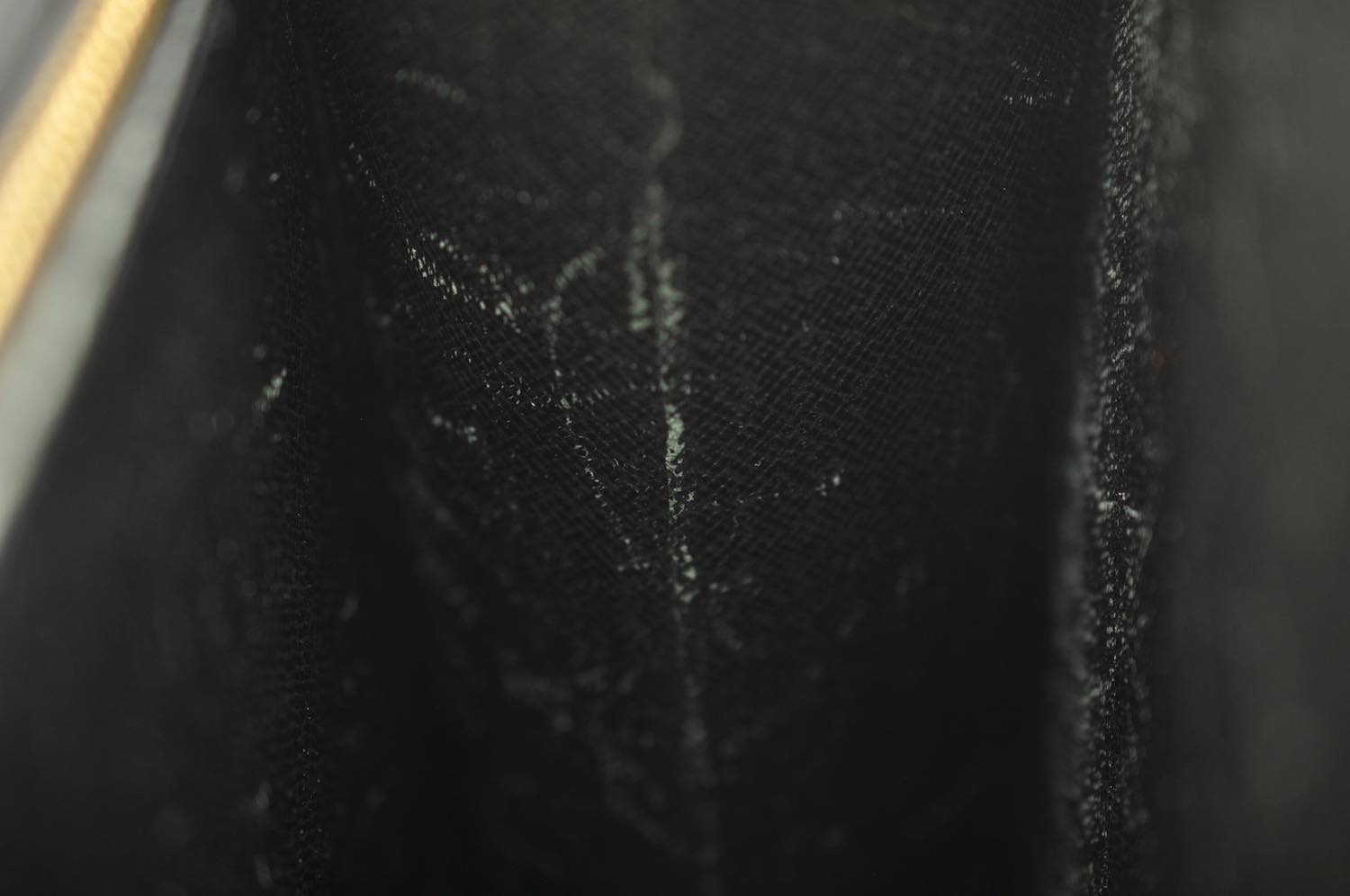 th_DSC_0378
