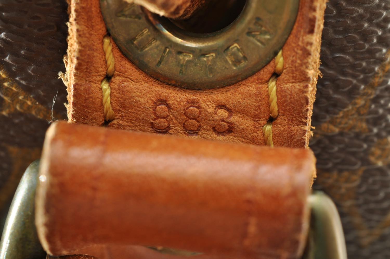 th_DSC_0388