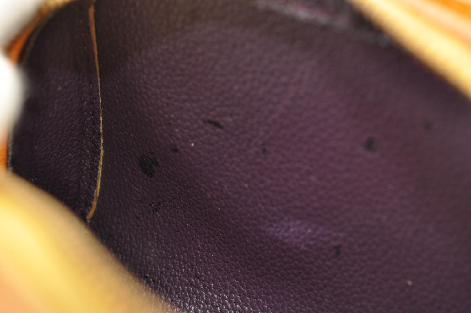 th_DSC_0462