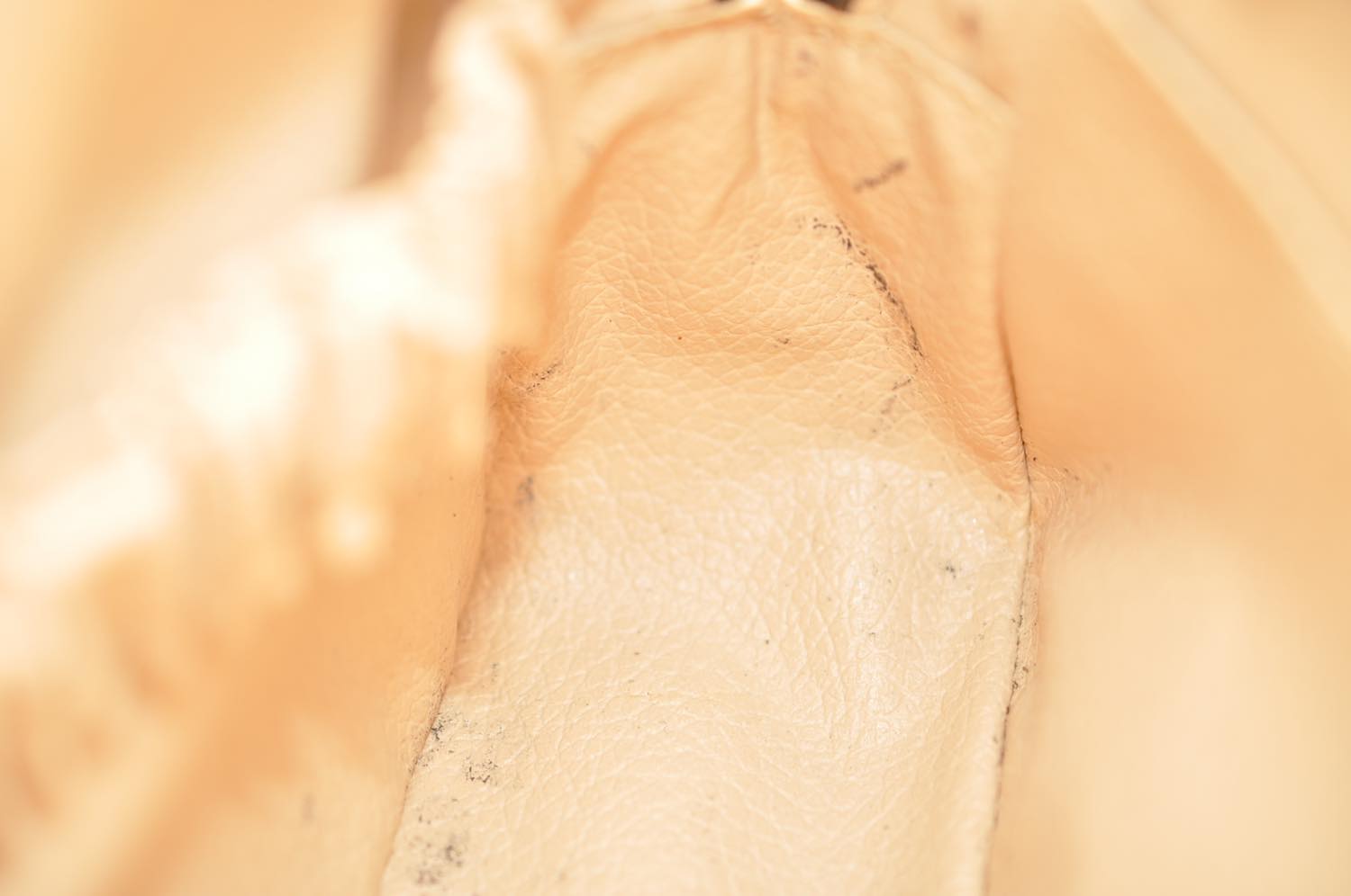th_DSC_0494