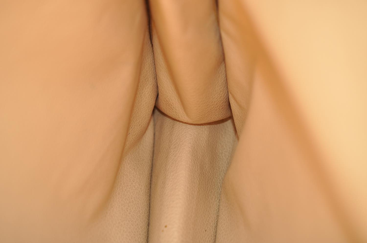 th_DSC_0501