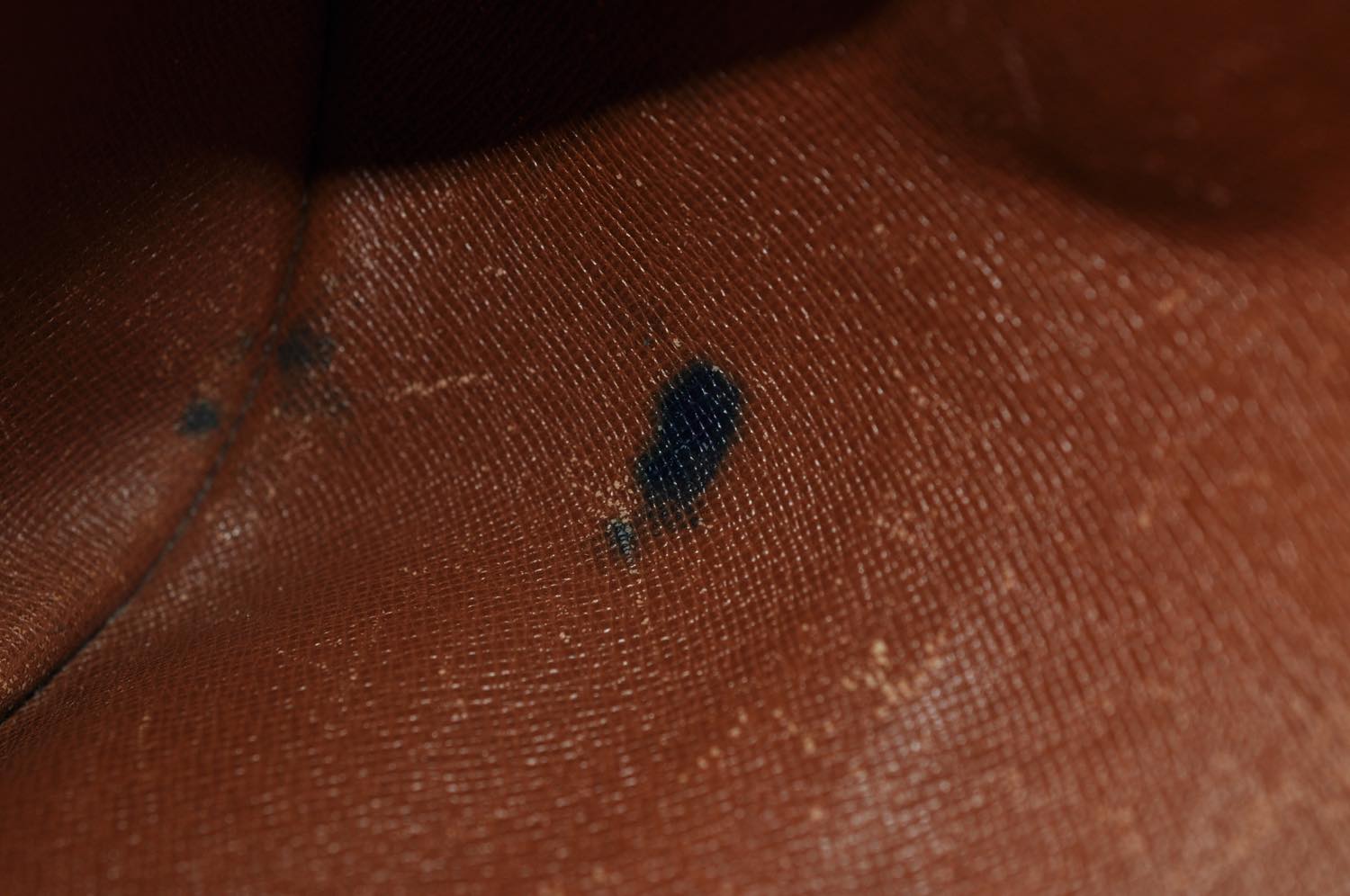 th_DSC_0528