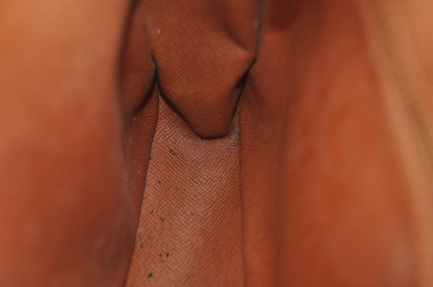 th_DSC_0626