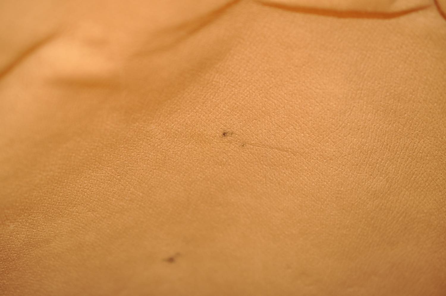 th_DSC_0678