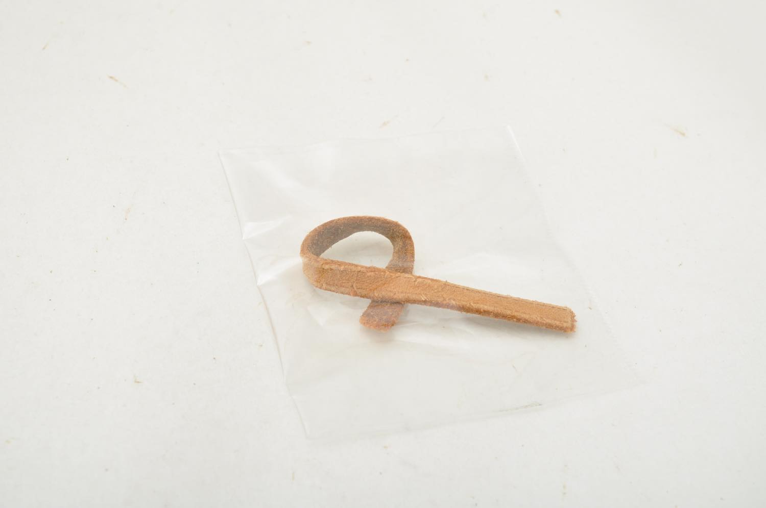 th_DSC_0698