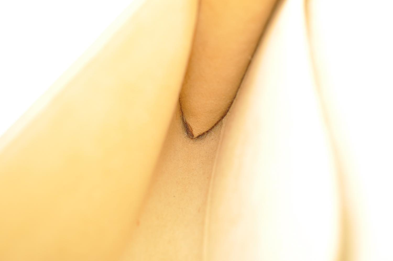 th_DSC_0707