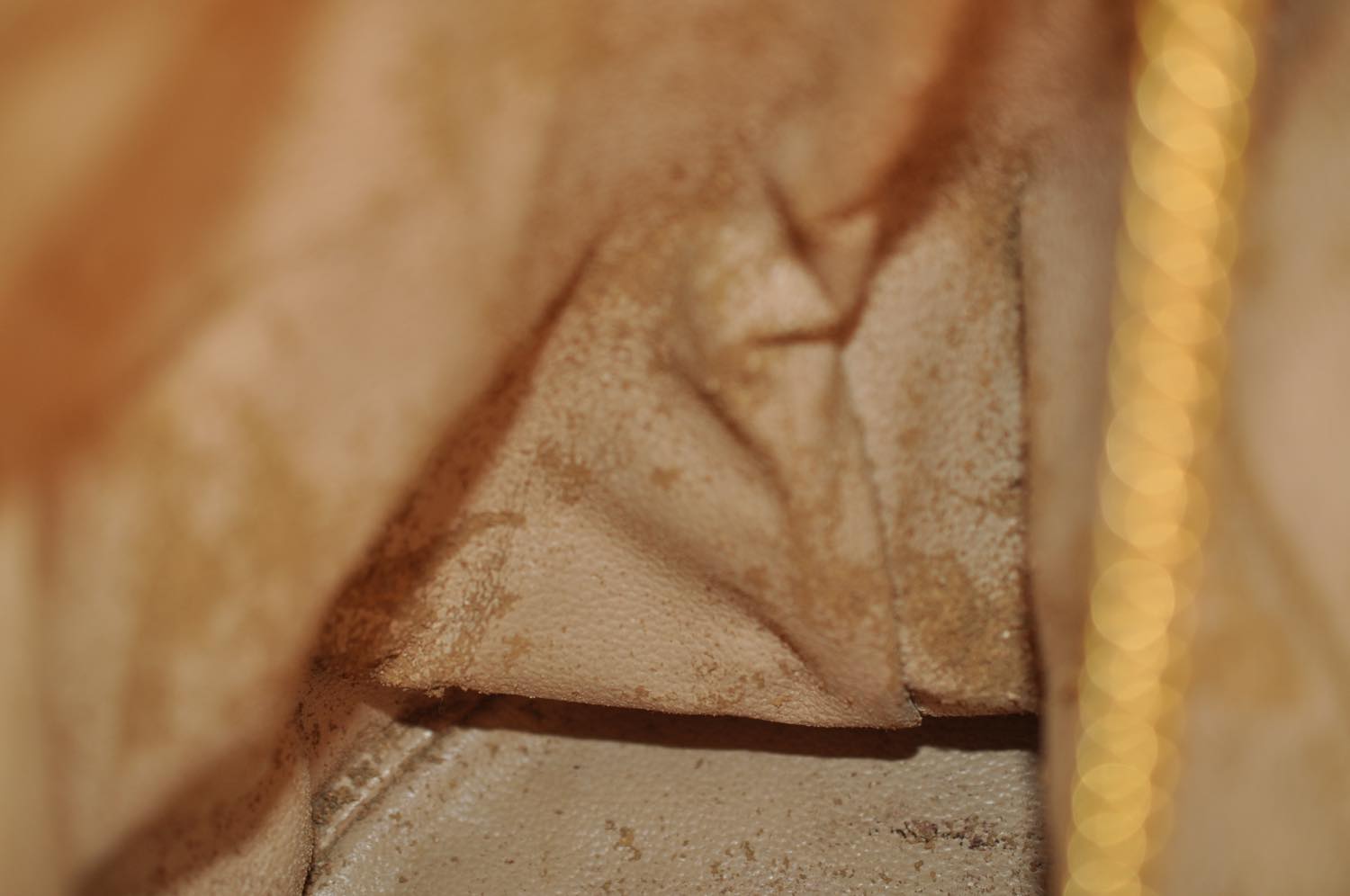 th_DSC_0708