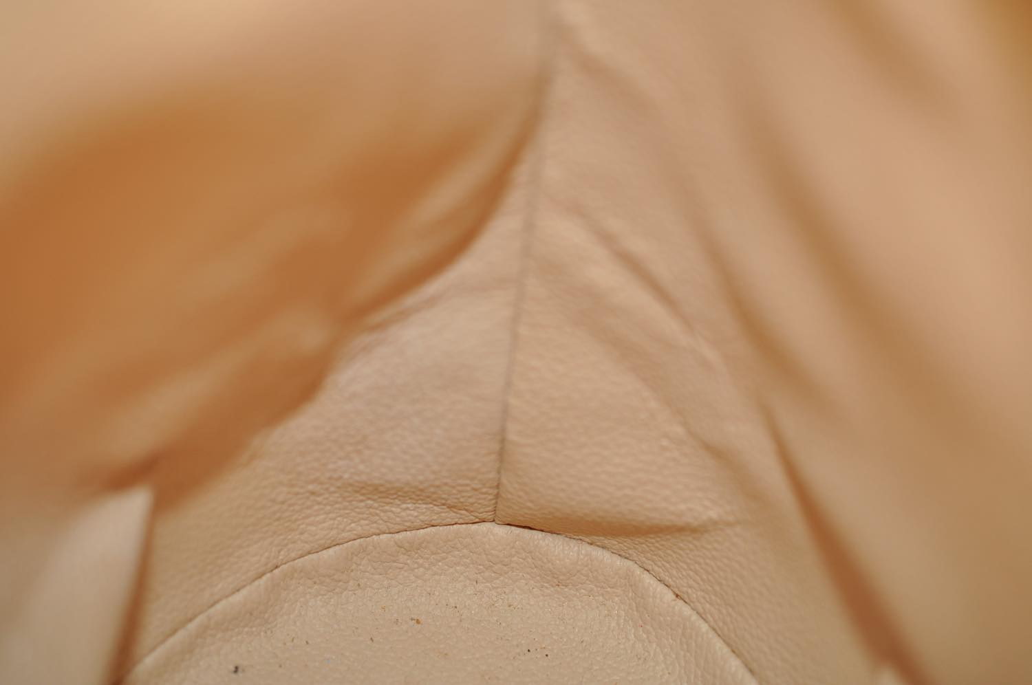 th_DSC_0754