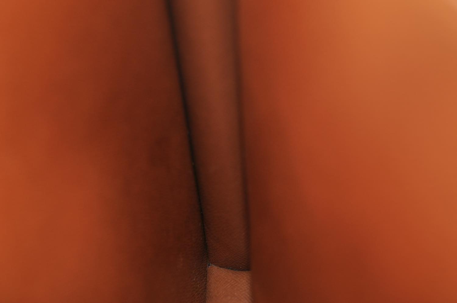 th_DSC_0800