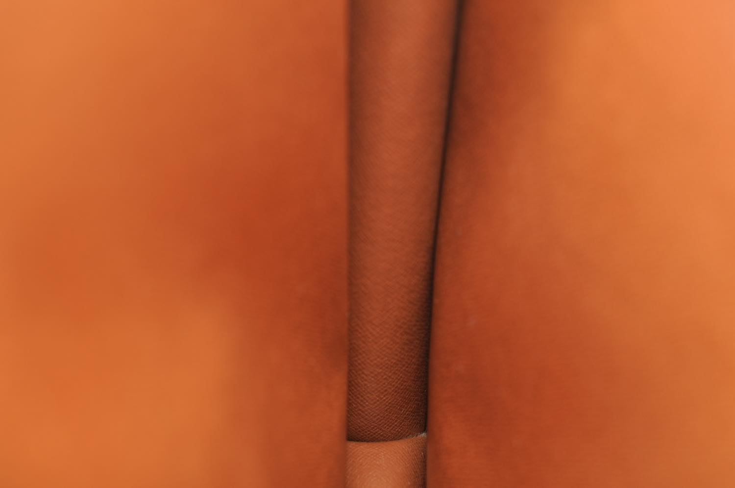 th_DSC_0801