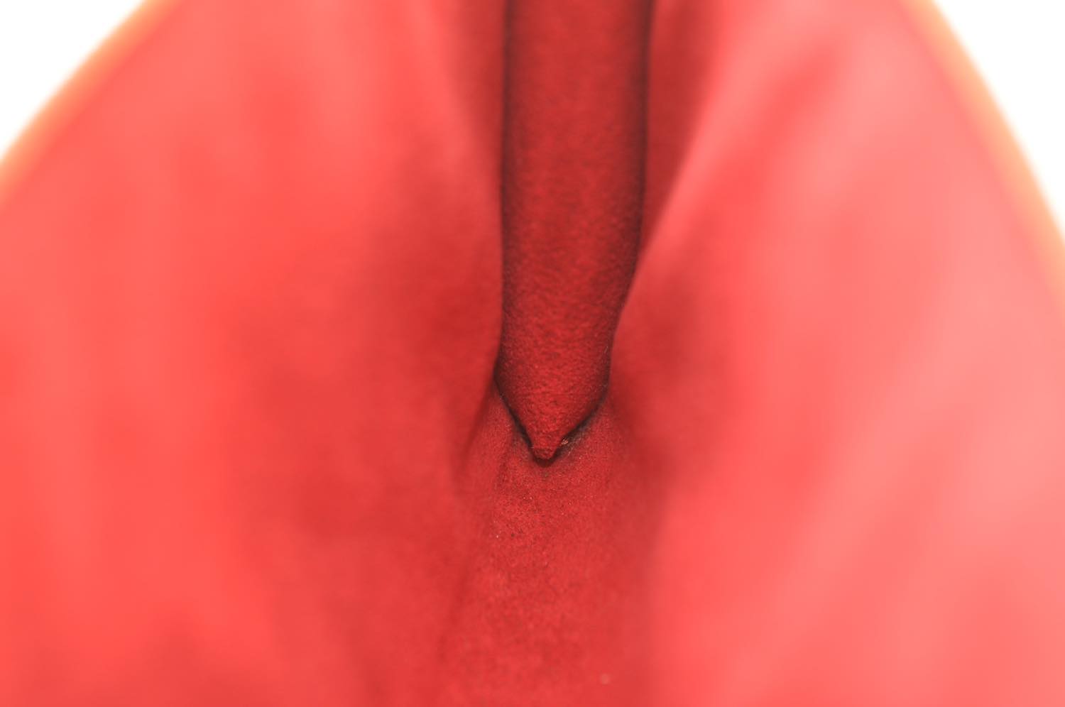 th_DSC_0814