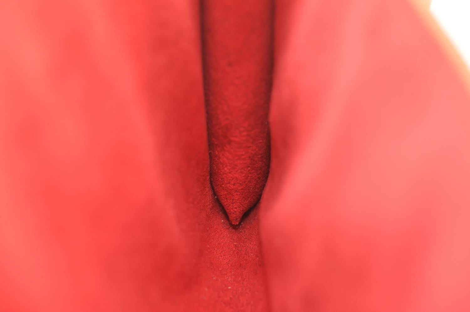 th_DSC_0815