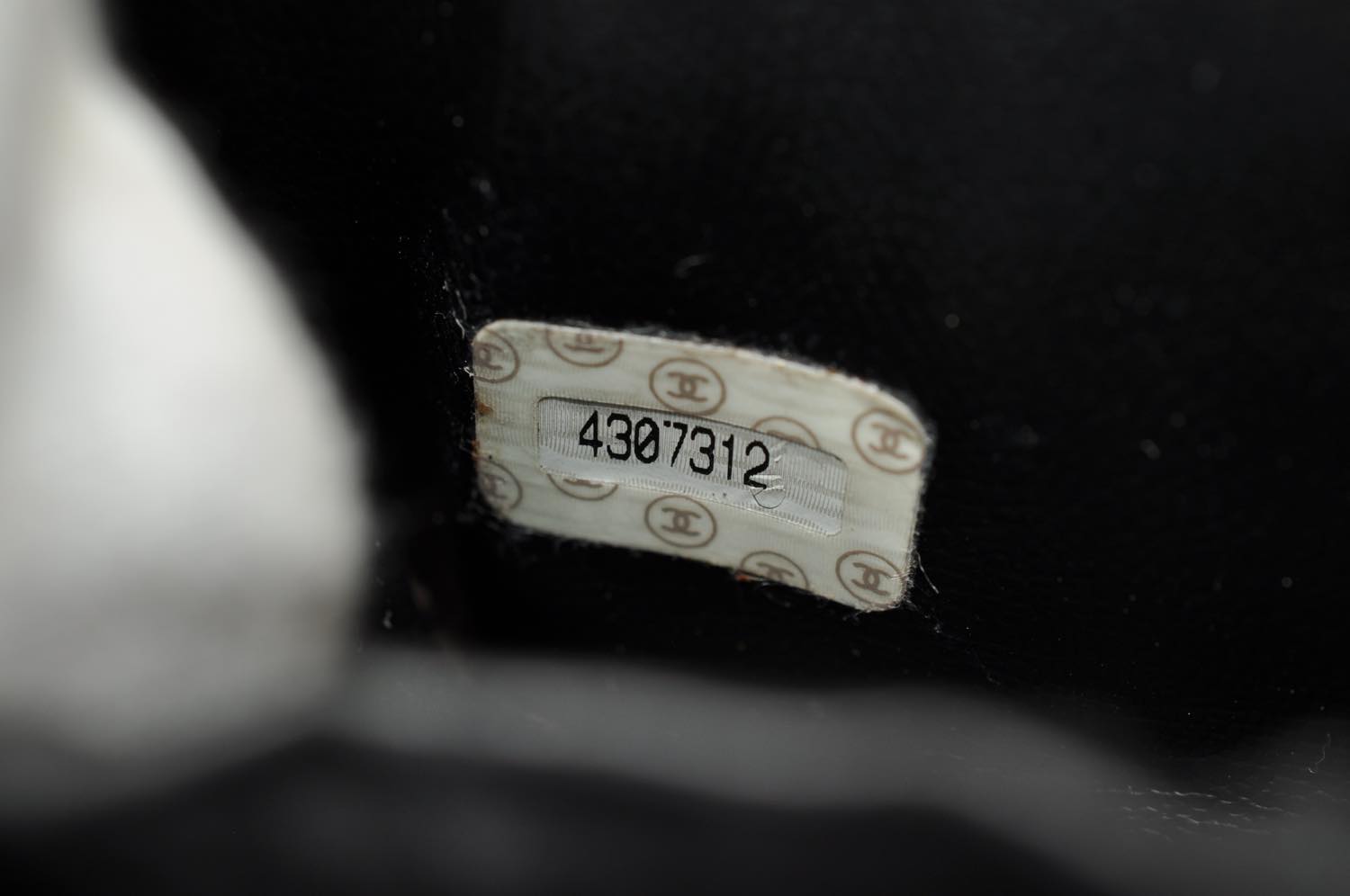 th_DSC_0924