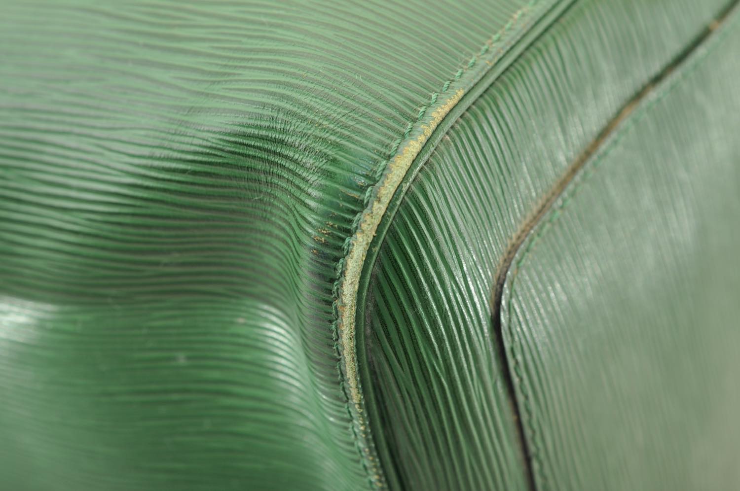 th_DSC_0015