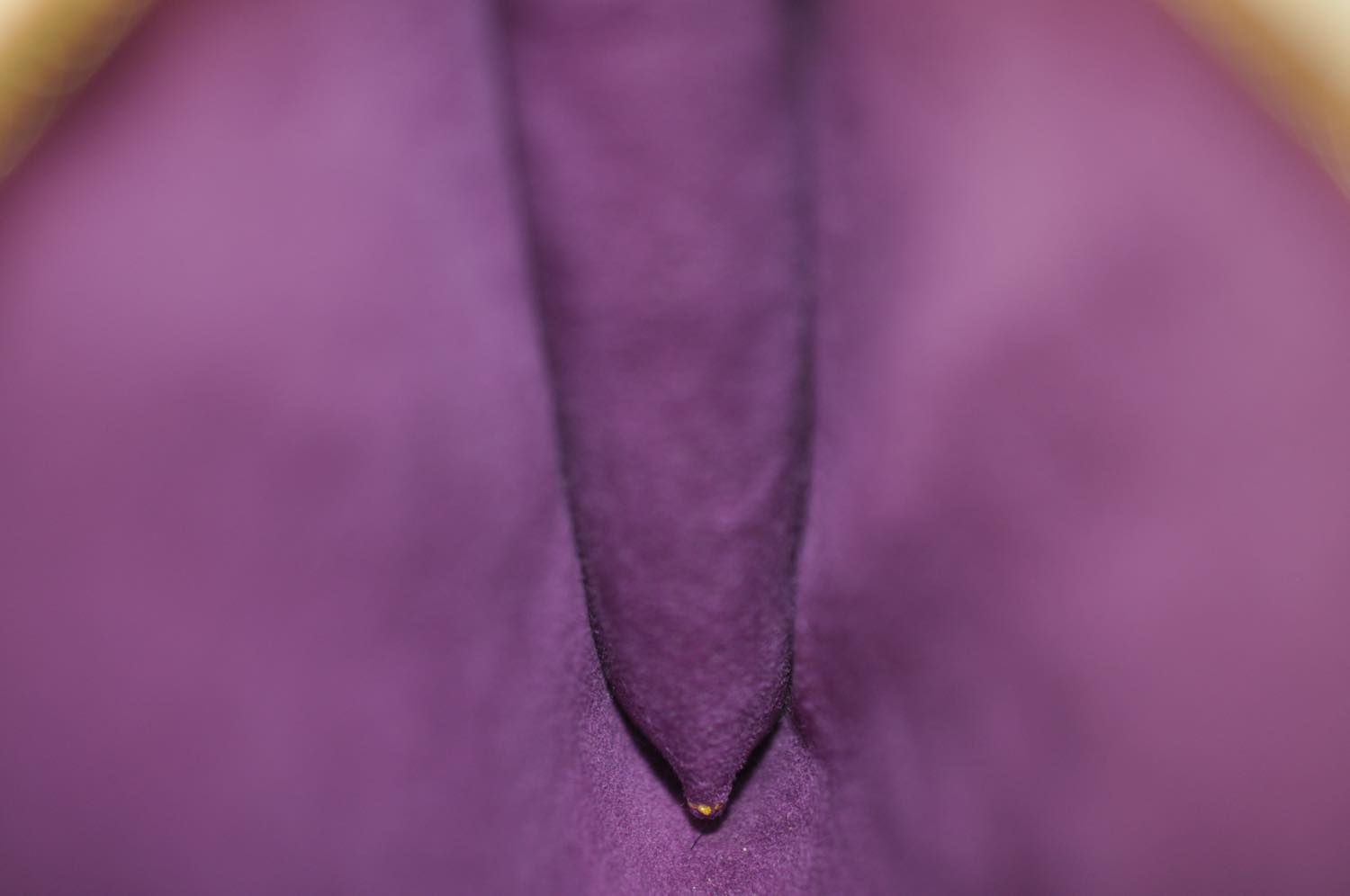 th_DSC_0016