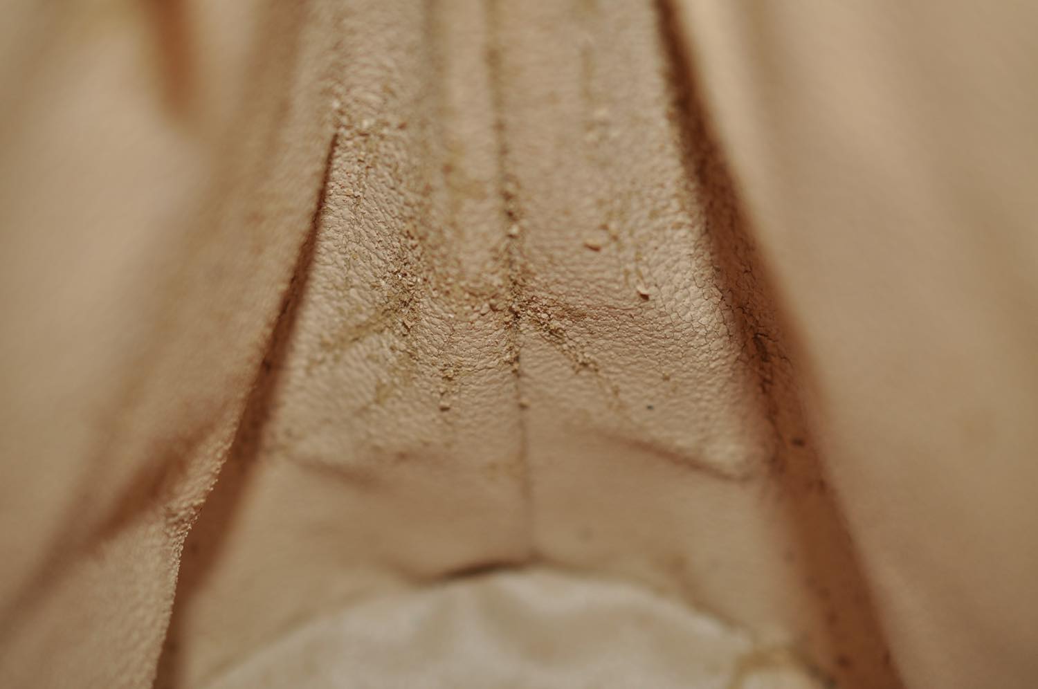 th_DSC_0017