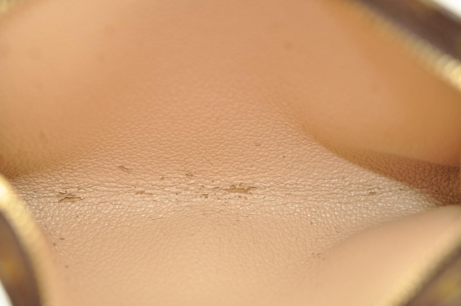 th_DSC_0025