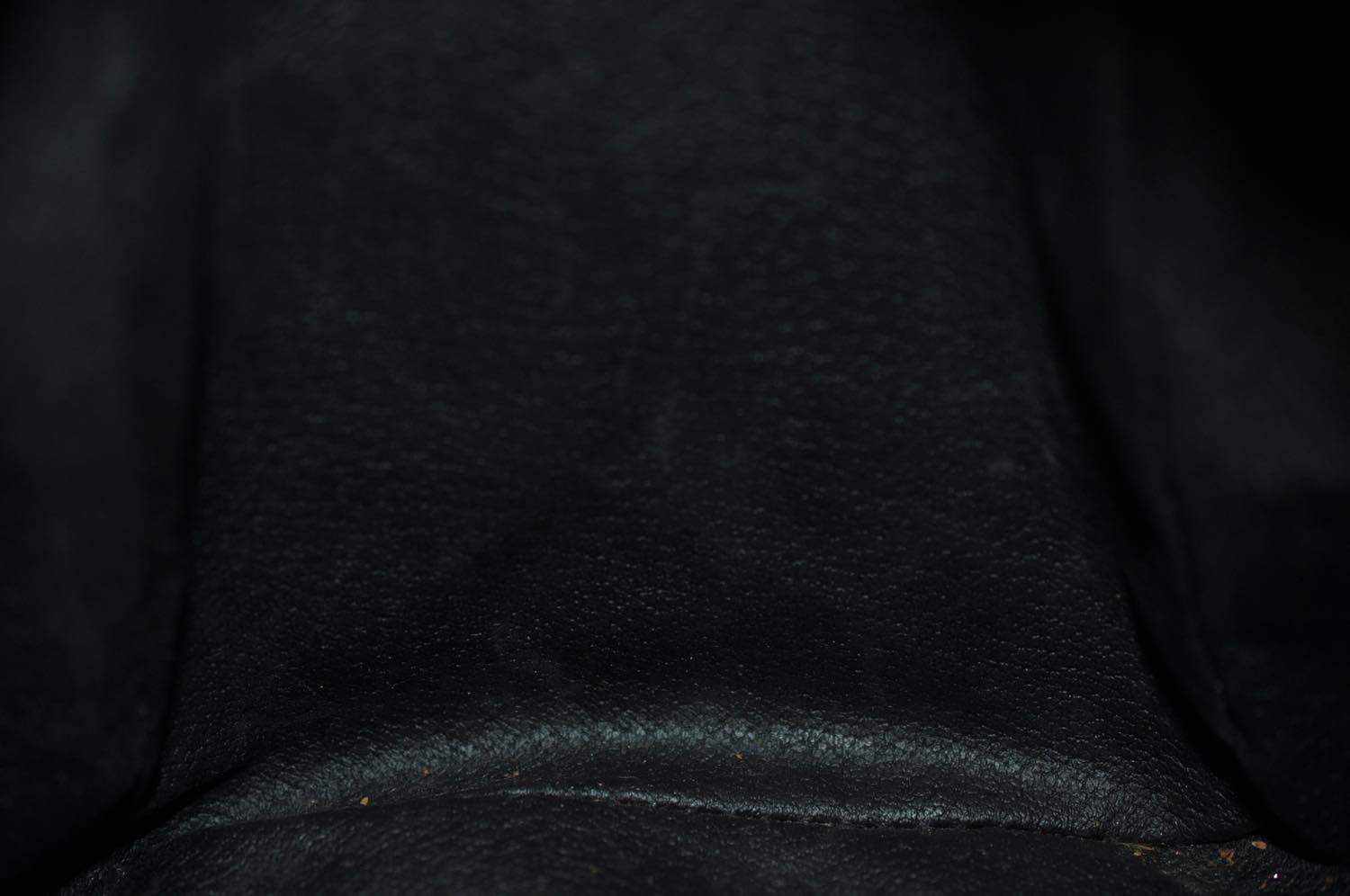th_DSC_0073