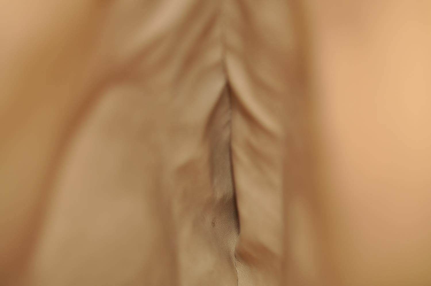 th_DSC_0120