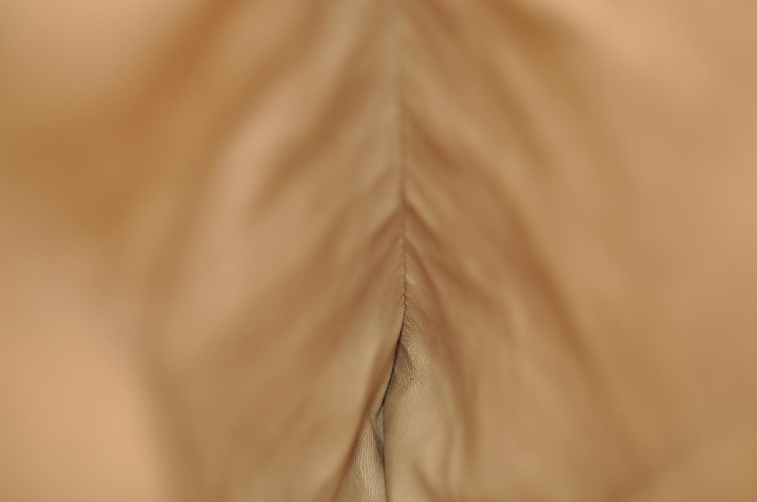 th_DSC_0126