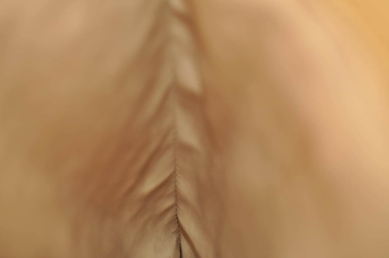 th_DSC_0127